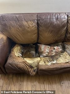 57160873 10763461 A photo showing a close up of the leather couch Lacey was fused a 5 1651181265368 225x300 1