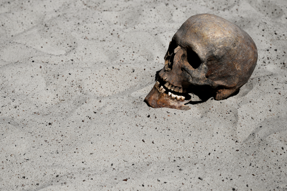 SKULL IN SAND.shutterstock 1406903027