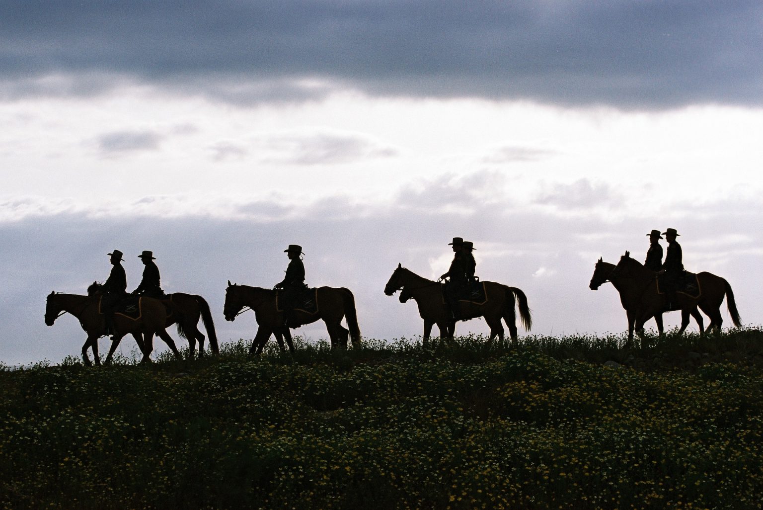 borderpatrol.texas .shutterstock
