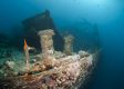 VIDEO: World’s Deepest Shipwreck Uncovered: Explore the WWII US Navy Destroyer which Sank 77 Years Ago