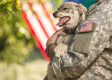 WOW: Soldier Succeeds in Rescuing Desperate Dog that Snuck onto Base