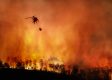 How Conservationists Are Working to Stop California Wildfires & It’s Nothing to do with Green Energy