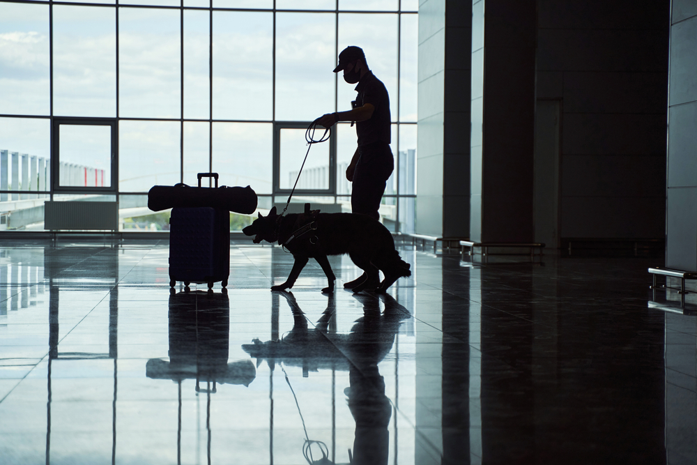 shutterstock 1999332794.security