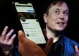 Elon Musk Goes Off On San Francisco Mayor After City Opens Probe Into Twitter Headquarters