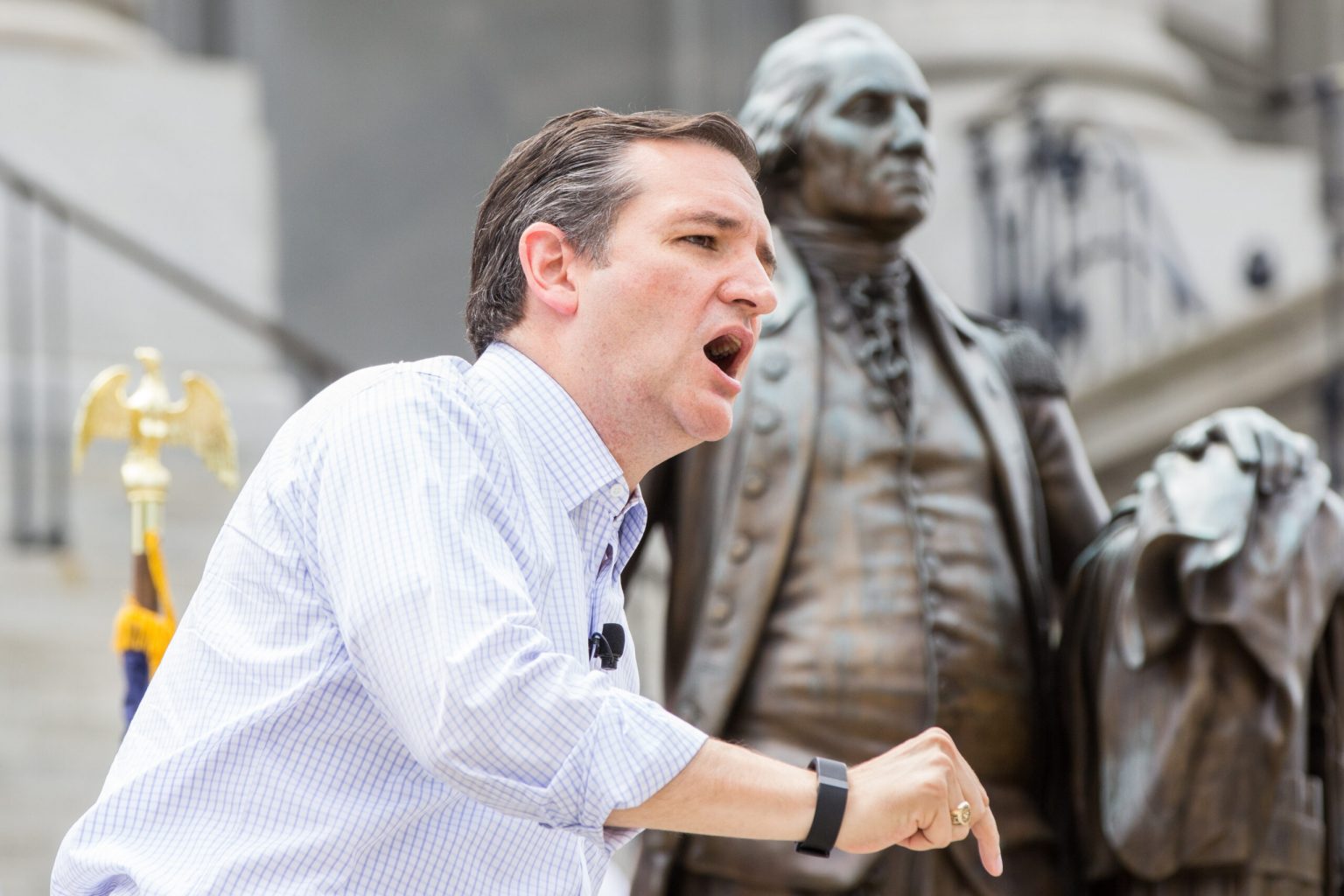 shutterstock 354714626 1.cruz scaled 1