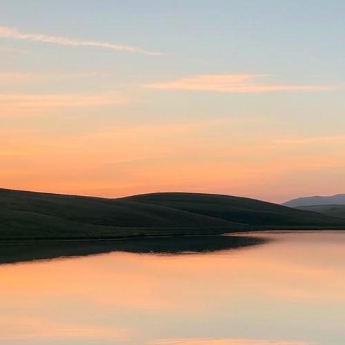 Gavin Newsom Loses It Over Federal Election Monitors: ‘Voter Intimidation!’