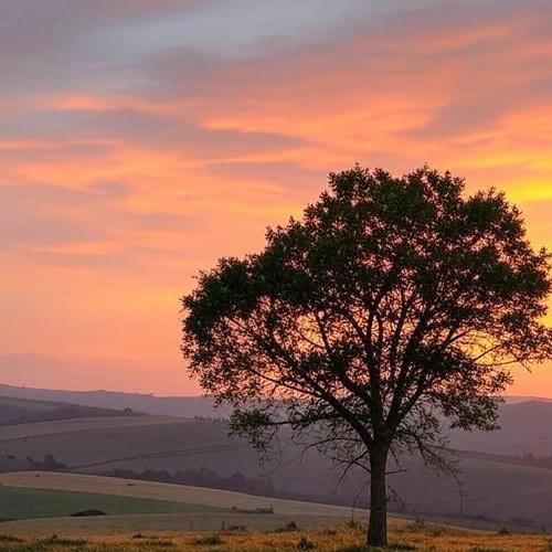 Trump Delivers Thunderous Applause Aboard USS George Washington… Announces Major Pay Raise For Heroes!