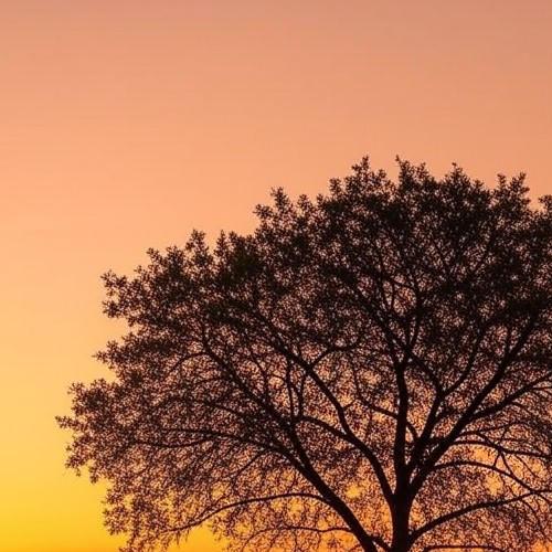 JUST IN: Florida Hits Record 15 Executions In DeSantis’ Aggressive Push For Justice