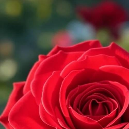 JUST IN: Virginia Democrats Push Controversial Redistricting Amendment During Election