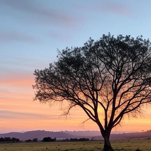 Trump Pushes GOP To End Filibuster: ‘Get It Done, Now!’